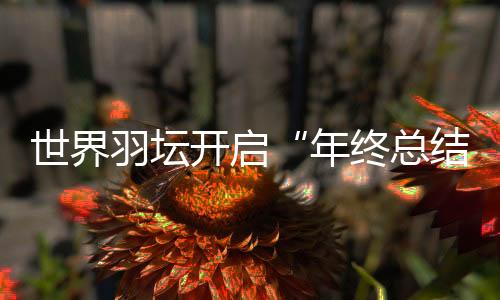 “雅思”的羽坛接班人