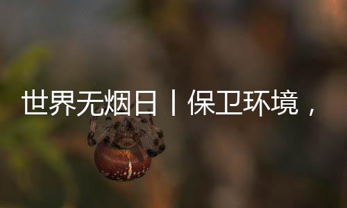 拒绝烟草从董事长开始
