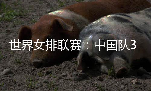 中国米特罗维奇11分