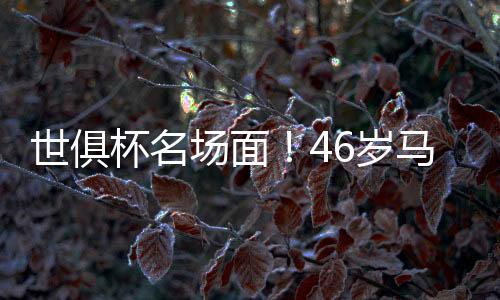 世俱岁马手示轻快取得开门红