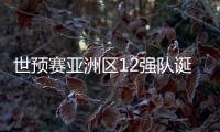 世预赛亚洲区12强队诞生！中日韩澳伊齐聚