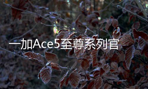 至尊持久输出高性能