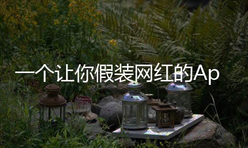 网红那小日子简直不要太爽