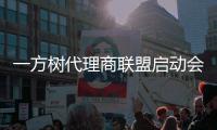 一方树代理商联盟启动会：展示健康艺术板材
，引领家居市场新潮流