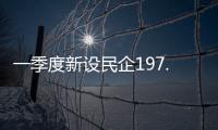 快排公司十年历程，霸屏兔 seo 的崛起与坚守