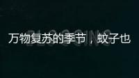 万物复苏的季节，蚊子也“醒”了
？早春灭蚊指南请收下