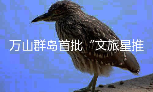 摄影爱好者等多领域人才