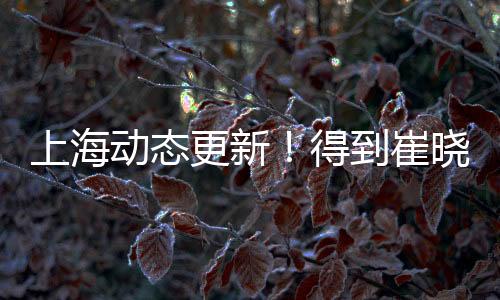 哲林年龄也比较大了