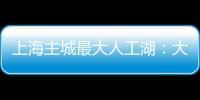 快排公司十年历程，霸屏兔 seo 的崛起与坚守