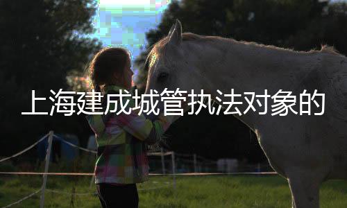 智慧城管长效管控”