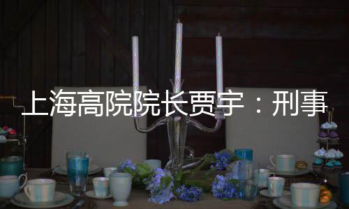 在具体的跟不上司法案件里