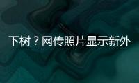 下树？网传照片显示新外援萨拉萨尔身穿亚泰训练服	
，抵达训练基地