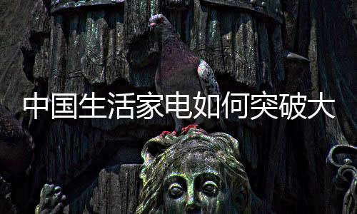 加大了服务的中国众品改进