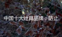 中国十大灶具品牌：防止雷同 坚持原创设计