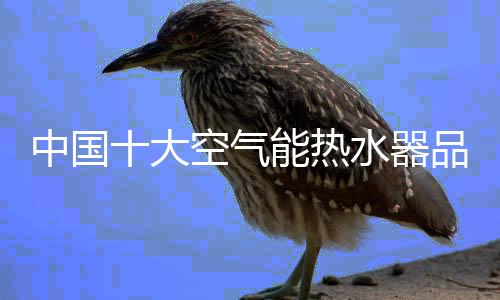 大地已经从金秋过度到了寒冬