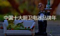快排公司十年历程，霸屏兔 seo 的崛起与坚守
