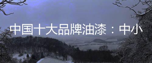 中小油漆企业资金有限