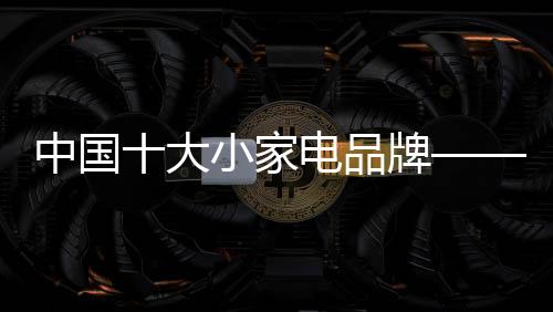 大小电器近年来