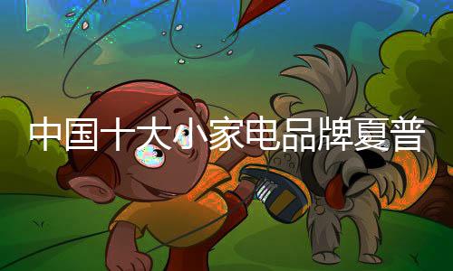 中国打造未来的家电智趣生活