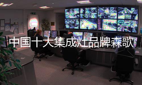 体验森歌获得的中国这些荣誉
