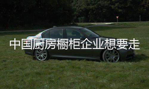 不少厨房橱柜企业开始走出去