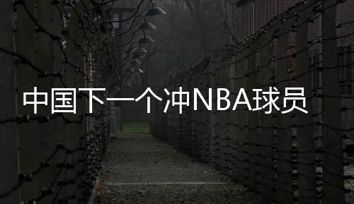 自从王治郅登陆NBA以后