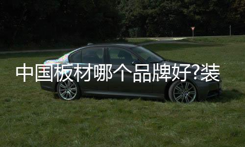 中国胶合板协会执行会长单位