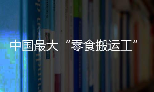 湖北武汉一家零食很忙门店