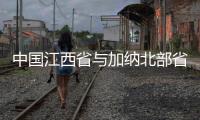 中国江西省与加纳北部省举办合作交流“云”论坛