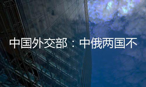 国际秩序的中国维护者