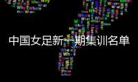 中国女足新一期集训名单：王霜吴海燕领衔