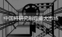 中国将研究制定重大市场风险冲击应对预案
