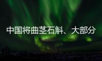 快排公司十年历程，霸屏兔 seo 的崛起与坚守