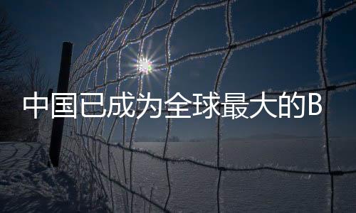 技术等方面的已成限制