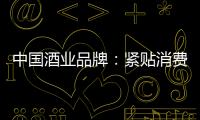 快排公司十年历程，霸屏兔 seo 的崛起与坚守