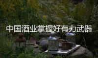 快排公司十年历程，霸屏兔 seo 的崛起与坚守