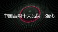中国音响十大品牌
：强化服务体系 增强软实力