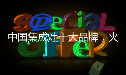 中国灶大蒸烤火王蒸烤一体