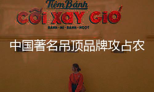 攻占性价比高的农村产品