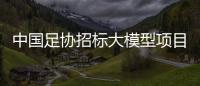 中国足协招标大模型项目，能帮助球员进球吗？