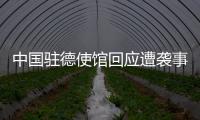 中国驻德使馆回应遭袭事件：无伤亡 嫌疑人被当场抓获