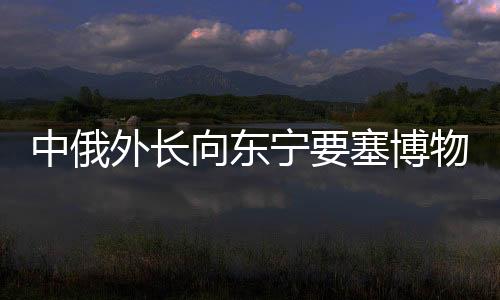 真正多边主义的外长践行者