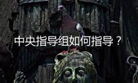 中央指导组如何指导？