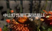 快排公司十年历程，霸屏兔 seo 的崛起与坚守
