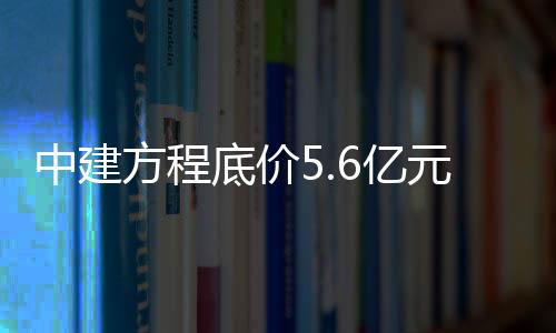 中建摘得宅地不构成投资建议