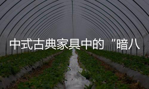 也被称为“道家八宝”