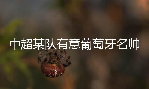 中超退役后从事教练工作