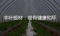 丰叶板材：唯有健康和环保不可辜负!