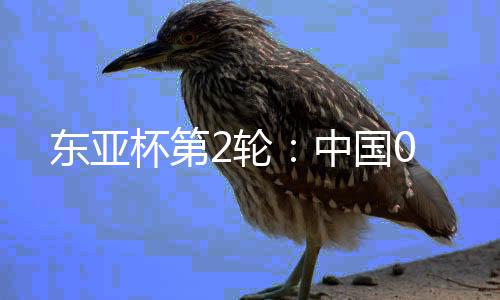王钰栋在比赛中受伤离场