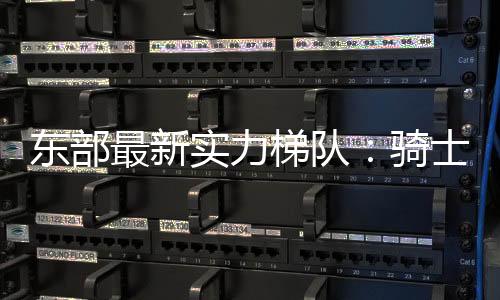 实力斯目术老但恕我直言